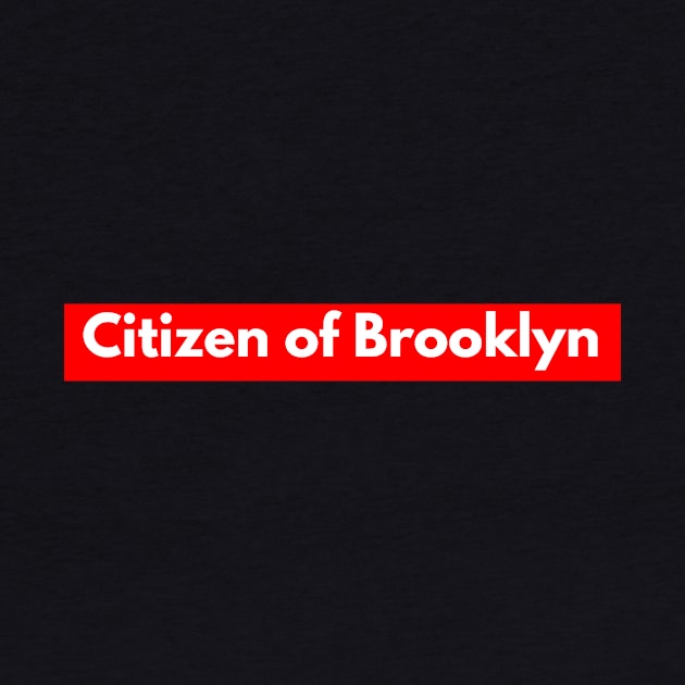 Citizen of Brooklyn by mike11209